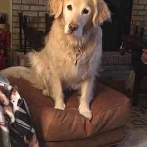 Meet your Posher, Debi